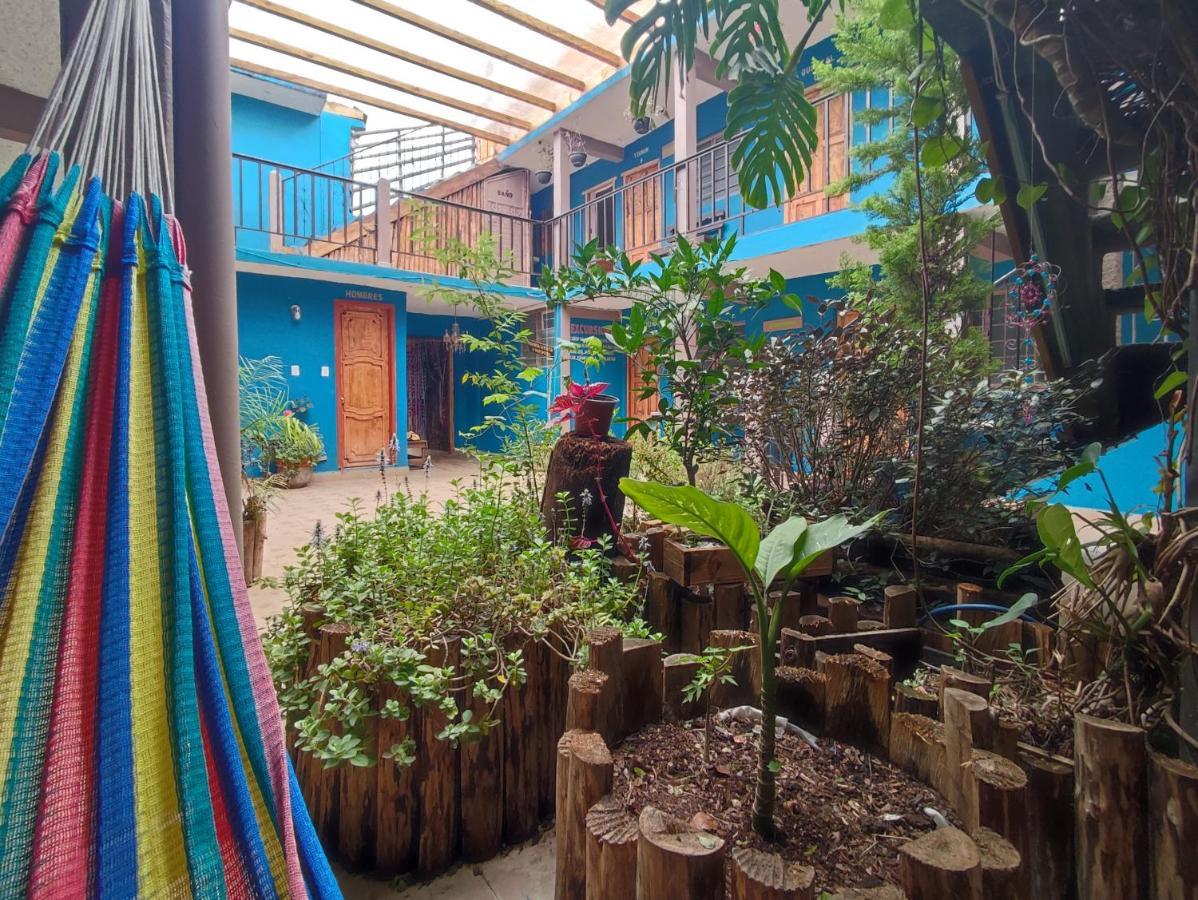 Hostal Ikal San Cristóbal de Las Casas Eksteriør billede